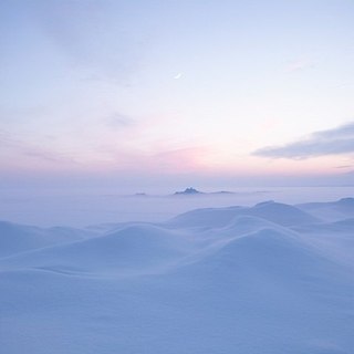 50 дней до моего самоубийства epub vk